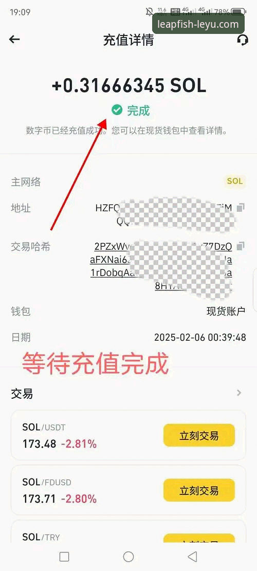 乐鱼体育下载与使用全指南：从获取到精通的核心步骤